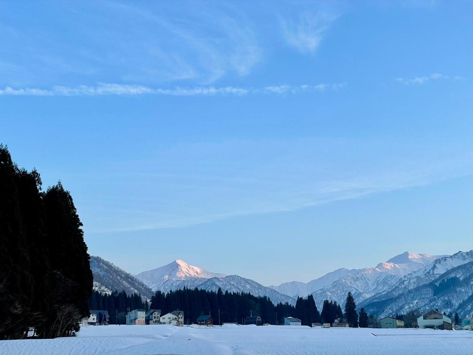 Spruce * Yuzawa (Niigata)